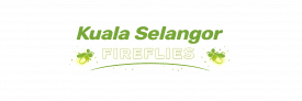 https://kualaselangorfireflies.com/
